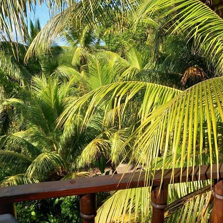 Iguana Libre Hotell Dominical Eksteriør bilde