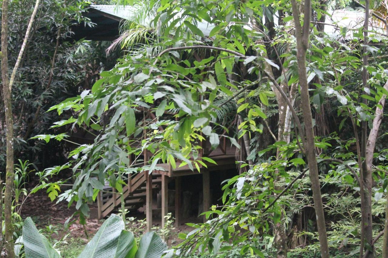 Iguana Libre Hotell Dominical Eksteriør bilde