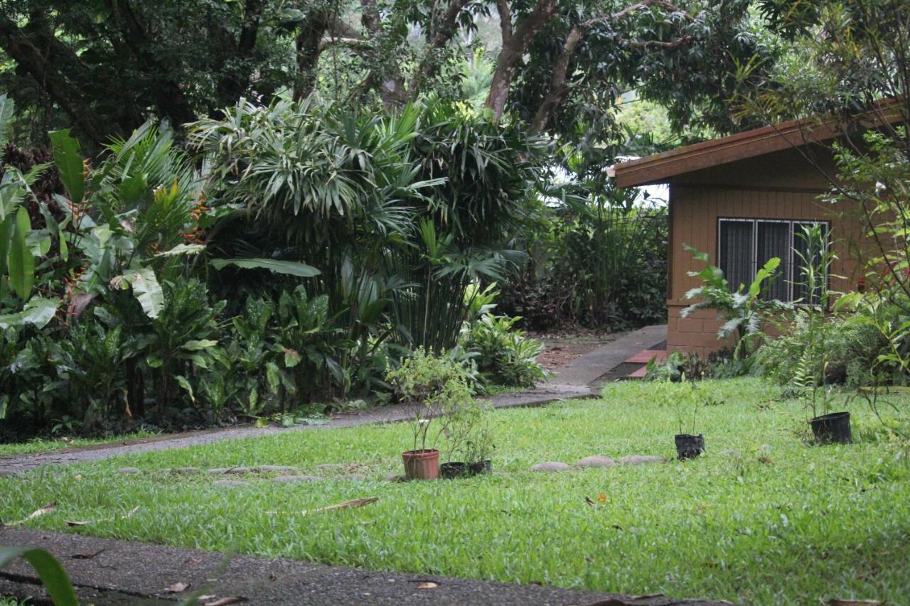 Iguana Libre Hotell Dominical Eksteriør bilde