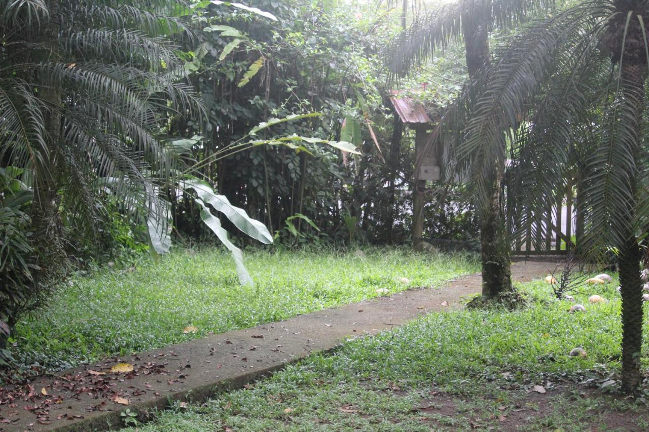 Iguana Libre Hotell Dominical Eksteriør bilde