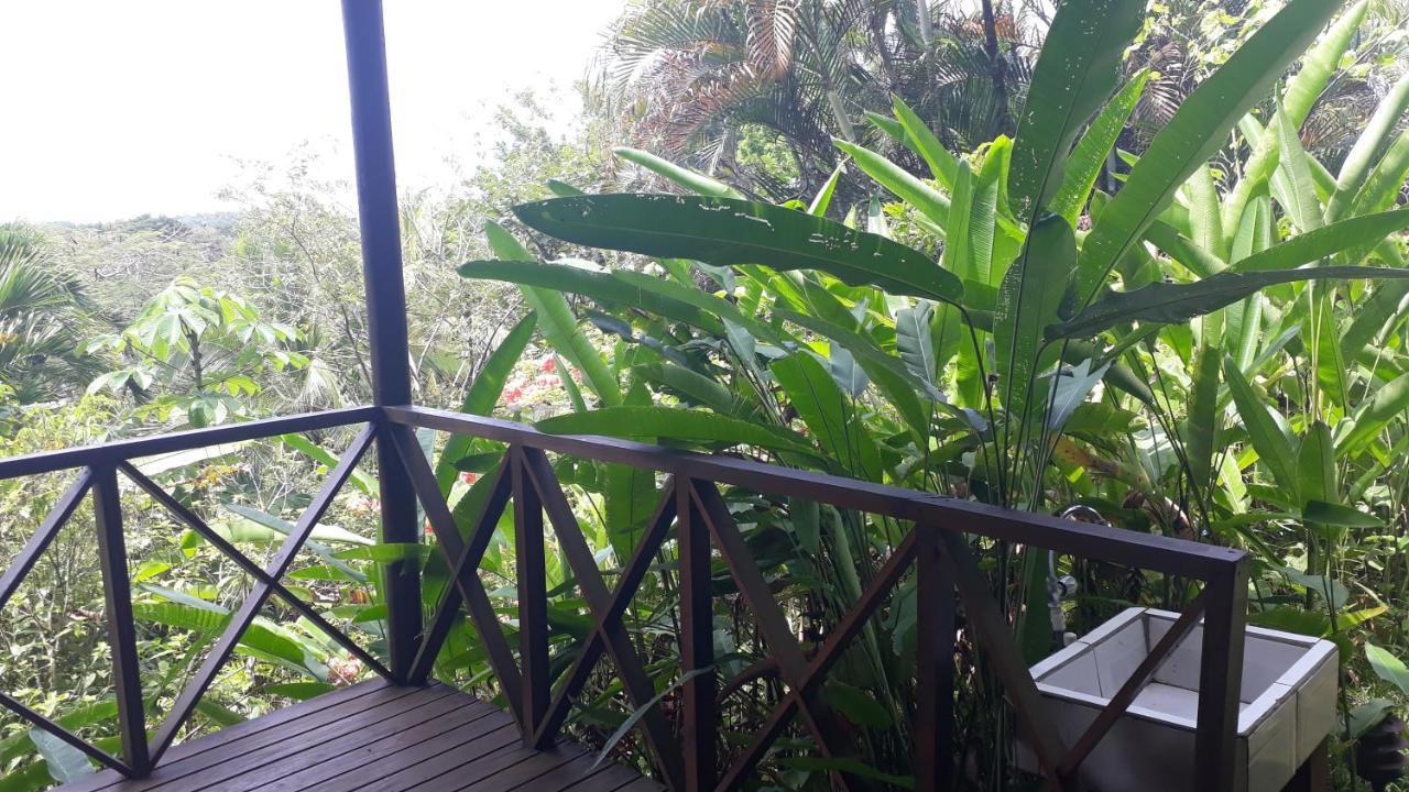 Iguana Libre Hotell Dominical Eksteriør bilde