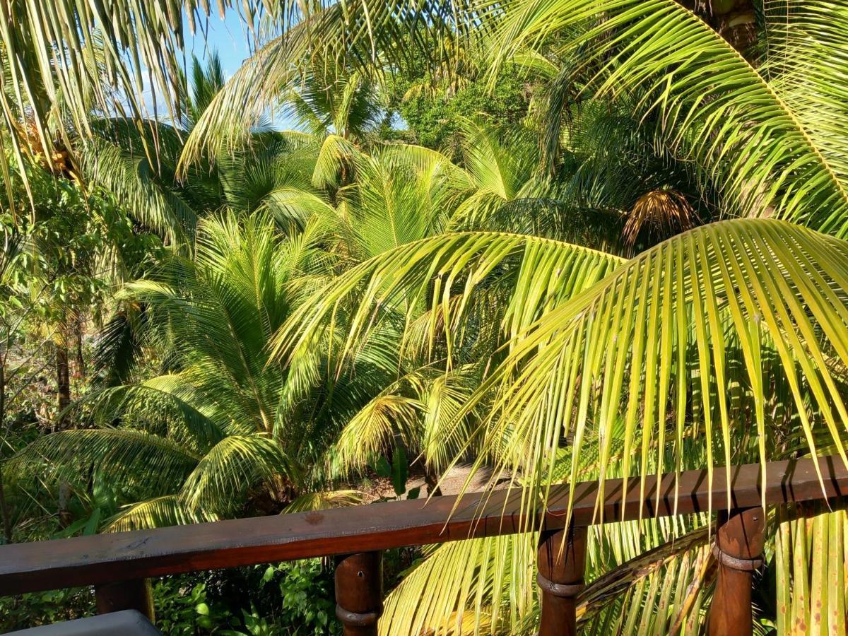 Iguana Libre Hotell Dominical Eksteriør bilde